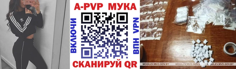 Альфа ПВП СК КРИС  Набережные Челны 